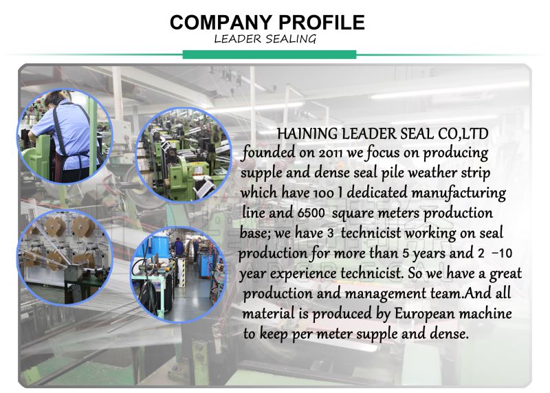 product-1-1 COMPANY PROFILE(1).png